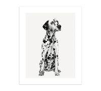 Cute Birthday Card Dalmatian Dog Ink and Shadow - Illustrated Greeting Card
