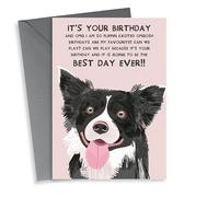 Cute Birthday Card - From the Dog - Best Day Ever - Border Collie