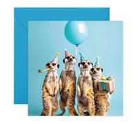 Cute Birthday Card - Meerkat Party Card with Balloon & Present - Lovely Greeting Card for Him, Her, Boys, Girls, Niece, Nephew, Women, Men - Animal Lovers - Comes with Stickers