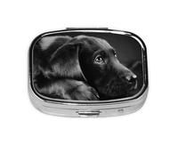 Cute Black Labrador Dog,Meta Pill Box 2 Compartment Medicine Case,Portable Organizer,Rectangle Meta Portable Organizer Pill Box 1900 Compartment Medicine Case