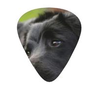 Cute Black Labrador Dog Pattern,12 Pcs Guitar Pick,3 Different Thickness Plectrums for Acoustic Guitar Bass Ukulele (0.46mm 0.96mm 0.71mm)