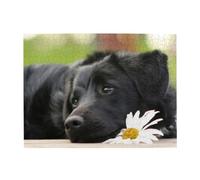 Cute Black Labrador Dog Pattern,500 Pieces Puzzles for Adults-Wooden Jigsaw Puzzle for Adults Elderly