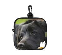 Cute Black Labrador Dog Pattern, Square Zipper Storage Bag, Neoprene Coin Purse, Small Wallets, Change Pouch, Change Purse