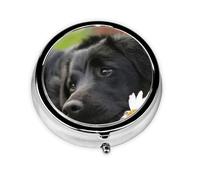 Cute Black Labrador Dog PatternMeta Pill Box 3 Compartment Medicine Case,Portable Organizer