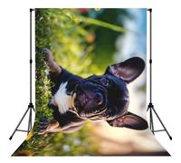 Cute Black Pug Dog Print Photo Studio Background 5x7ft Soft Photo Backdrop Curtain For Studio Content Creator Equipment