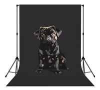 Cute Black Pug Dog-Standard-Scale-2_00x Print Photo Studio Background 5x7ft Soft Photo Backdrop Curtain For Studio Content Creator Equipment