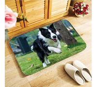 Cute Border Collie Dog Doormat Coir Door Mat Indoor Outdoor Welcome Floor Mats Soft Material 40X60Cm Antislip