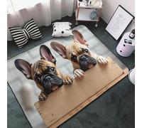 Cute Brown Bulldog Duo Print Area Rugs for Living Room Bedroom, Washable Soft 3x5 Throw Rugs Non Slip Carpet for Bedroom Decor Aesthetic 60x39 inches