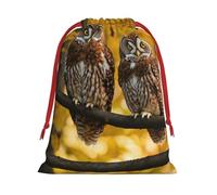 Cute Brown Cartoon Owls Print Convenient Drawstring Gift Wrapping Bag Lightweight Comfort Suitable All Occasions