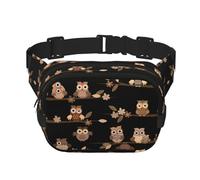 Cute Brown Cartoon Owls Print Square Double Layer functionality Waist Bag Unisex Crossbody Pack Travel Workout, Black, One Size