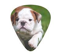 Cute Bulldog Puppy Guitar Picks 12 Pcs Classical Triangle Guitar Plectrums Includes Thin, Medium & Heavy Gauges 3 Sizes for Bass Electric Acoustic Guitars Ukulele with Organizer Storage Box