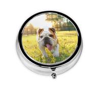 Cute Bulldog Puppy Print Pill Box for Pocket Round Pill Box 3 Compartment Decorative Portable Travel Pill Holder Tablet Vitamin Organizer Mini Pill Case(2pcs)
