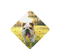 Cute Bulldog Puppy Printing 10 Pcs Car Air Freshener Fragrant Sheets,Car Hanging Accessories With Strings For Decor