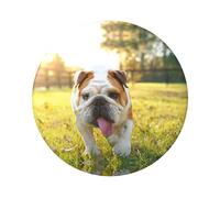 Cute Bulldog Puppy Round Badge - Durable Tin Plate Design With Full Front Print, Perfect For Custom Gifts And Apparel Decoration