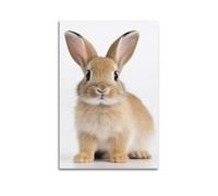 Cute Bunny Portrait Canvas Poster, Attactive Rabbit Wall Art Mordern Prints for Wall Decoration Room Aesthestic 20x30inch(50x75cm) Unframe-style-1