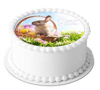 Cute Bunny Rabbit Happy Easter 7.5 inch Circle on Decor Icing Sheet Edible Cake Topper - Perfect for Decorating Larger Cakes