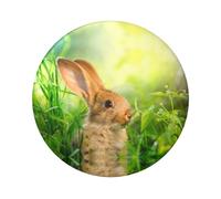 Cute Bunny Round Badge - Durable Tin Plate Design With Full Front Print, Perfect For Custom Gifts And Apparel Decoration