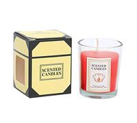 Cute Candles Auntie Candle Candle Sicilian Scented Classic Large Jar Single Wick Candle Burns Over 110 Hours Table Centerpiece Candle Kits for Adults (Red, One Size)