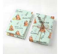 Cute Capybara Spa Birthday Wrapping Paper Folded Sheets, 120GSM Thick Kraft Wrapping Paper for Women Girls, Mint Green Funny Animal Print Present Packaging for Kids Teen, Two Pack