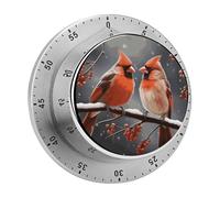 Cute Cardinal Birds Mechanical Kitchen Timer 60 Minute Wind Up Countdown Clock with Magnetic Back Loud Alarm Stainless Steel Manual Timer for Cooking Baking Classroom Home Gym