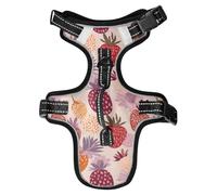 Cute Cartoon African Fruit Strawberry Reflective Dog Safety Vest for Malinois Night Walking Waterproof Vest for Dogs Large chalecos para Perros