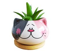Cute Cartoon Animal Cat Shaped Ceramic Succulent Cactus Flower Plant Pots with Bamboo Tray (Plant Not Included)