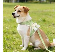 Cute Cartoon Dog Chest Strap Leash, Dog Harness and Leash Set, Dog Harness Breathable Poly-Cotton Mesh Breathable Mesh, Adjustable Vest with Bow (Green, S)