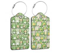 Cute Cartoon Frog Luggage Tags for Suitcases,2 Pack Star Luggage Tag,Leather Stainless Steel Loop Label Tag for Women Men Girls Travel Bag Suitcase