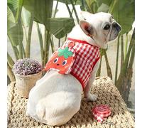 Cute Cartoon Fruit Pet Harness and Leash Set