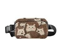 Cute Cartoon Hedgehog Fashionable Waist Bag Fanny Pack for Men Women Water Resistant Cross Body Bag Belt Pack with Adjustable Strap for Cycling Hiking Gym, Cute cartoon hedgehog, One Size