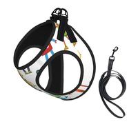Cute Cartoon Robots Print Harness Leash Set For Cats And Dogs, Reflective Adjustable, Soft Breathable Mesh Vest With Escape-Proof Lead, For Small Pets And Kitten Puppies