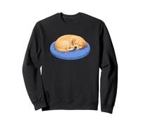 Cute Cartoon Sleeping Labrador Retriever Dog Sweatshirt