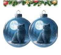 Cute Cat Christmas Glass Ornaments Collection, Clear Plastic Christmas Balls, Xmas Tree Kitten Ball Ornament, Unique for Cat Lovers, Snow Globe Set with Winter Theme (2PCS3)