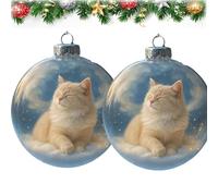 Cute Cat Christmas Glass Ornaments Collection, Clear Plastic Christmas Balls, Xmas Tree Kitten Ball Ornament, Unique for Cat Lovers, Snow Globe Set with Winter Theme (2PCS4)