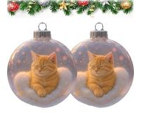 Cute Cat Christmas Glass Ornaments Collection, Clear Plastic Christmas Balls, Xmas Tree Kitten Ball Ornament, Unique for Cat Lovers, Snow Globe Set with Winter Theme (2PCS1)