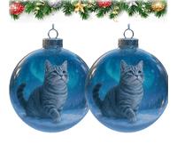 Cute Cat Christmas Glass Ornaments Collection, Clear Plastic Christmas Balls, Xmas Tree Kitten Ball Ornament, Unique for Cat Lovers, Snow Globe Set with Winter Theme (2PCS2)
