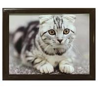 Cute Cat Cushioned Bean Bag laptray Home Laptop Tray Drinks Food Breakfast Lap Tray