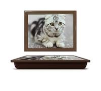 Cute cat Cushioned Bean Bag laptray Home Laptop Tray Drinks Food Breakfast Lap Tray - Cat Lover