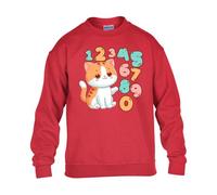 Cute Cat Kitten Boys Kids Girls Sweatshirt World Book Math Numbers Day Unisex Funny School Gift Christmas Jumper Red - Youth X-Large (Age 12-13)