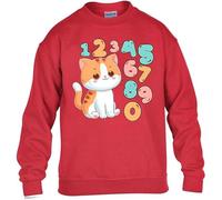 Cute Cat Kitten Boys Kids Girls Sweatshirt World Book Math Numbers Day Unisex Funny School Gift Christmas Jumper Red - Youth Large (Age 9-11)