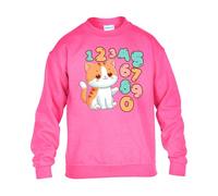 Cute Cat Kitten Boys Kids Girls Sweatshirt World Book Math Numbers Day Unisex Funny School Gift Christmas Jumper Safety Pink - Youth X-Large (Age 12-13)