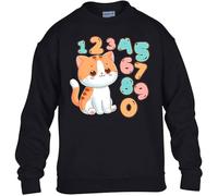 Cute Cat Kitten Boys Kids Girls Sweatshirt World Book Math Numbers Day Unisex Funny School Gift Christmas Jumper Black - Youth X-Large (Age 12-13)