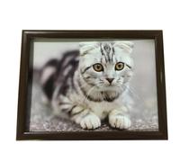 (Cute Cat) Laptray Cushion Bean Bag Lap Tray Food Serving