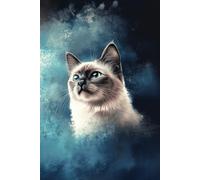 Cute Cat Notebook: Composition Notebook: Cute Cat Watercolor Illustration design - 6" x 9", 80 Pages, College Ruled, Perfect for Cat Lovers, School, Work, or Journaling