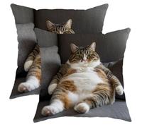 Cute Cat Pillow Covers Set of 2, Playful Tabby Cat Throw Pillow Cases, Cozy Decorative Square Cover for Living Room Sofa Bed Couch 18x18 Inch