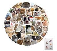 Cute Cat Stickers, 100pcs Funny Cat Stickers Set with Words, Waterproof Vinyl Meme Designs with Peel Off Adhesive for Bottles Laptops Skateboards Luggage Skis Scrapbook Phone Gifts for Cat Lovers