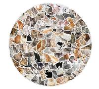 Cute Cat Stickers 100PCS Funny Kitten Animal Vinyl Decals Waterproof Sticker Pack Gifts for Kids Teens Adults Boys Girls Laptop Water Bottle Luggage Phone Case Scrapbook DIY Party Decoration