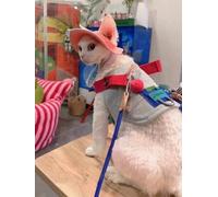 Cute Cat Vest with Leash Hole Set - Fashionable Denim Style Clothes Apparel for Cats Trendy Comfortable Pet Costumes Outfit (Vest,Large)