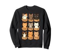 Cute Cats in Cardboard Boxes Funny Cat 2025 Kawaii Kittens Sweatshirt