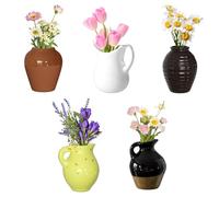 Cute Ceramic Vase Fridge Magnets, Funny Mini Plant Magnets, Tiny 3D Plant Vase for Refrigerator Decoration Kitchen Locker Kitchen Office (5 Pack)